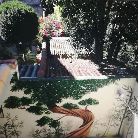 Suite Oisivete Avec Terrasse Vue Sur Patio Et Clim มงต์เปอลิเยร์ ภายนอก รูปภาพ